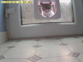 Nipped in the bud Nipped in the bud