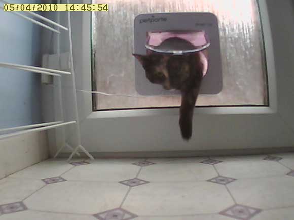 I was never scared of this, honest! I was never scared of this, honest!